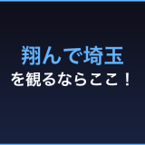 翔んで埼玉 無料視聴 動画配信サービス